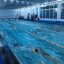 Первенство города Лыткарино по плаванию среди спортсменов младшего возраста