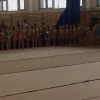 Первенство Мытищенского района по художественной гимнастике 8